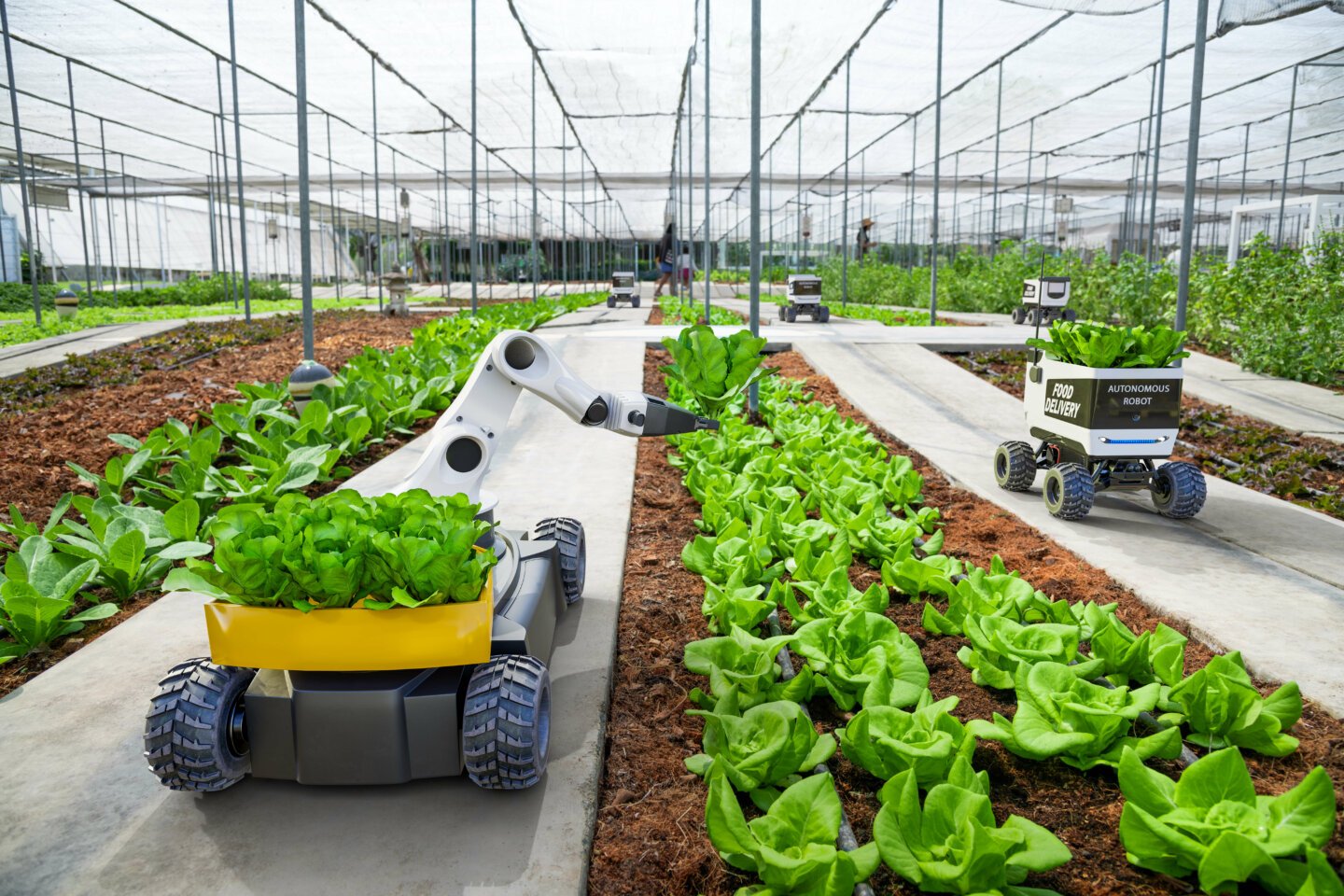 Modern farming